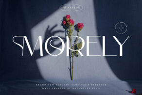 Product image of Morely – Elegant Display Sans Serif Font