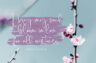 Gallery image item #1