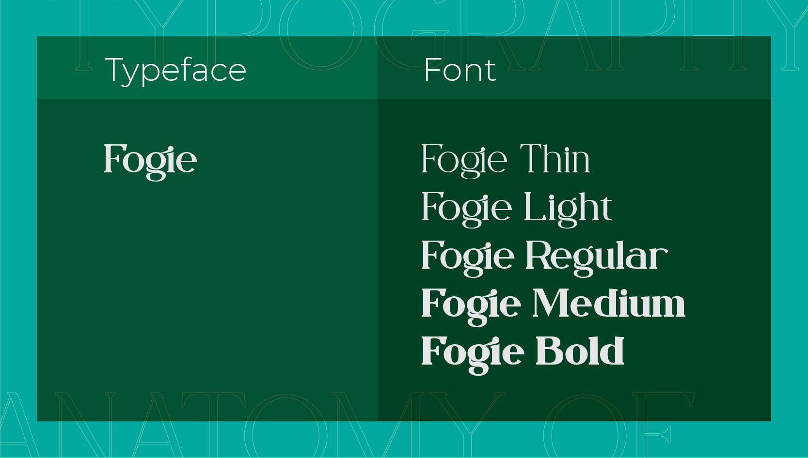 typography terms