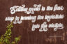 Gallery image item #1