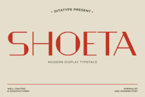 Product image of Shoeta – Modern Display Font