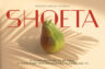 Gallery image item #10