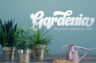 Gallery image item #6