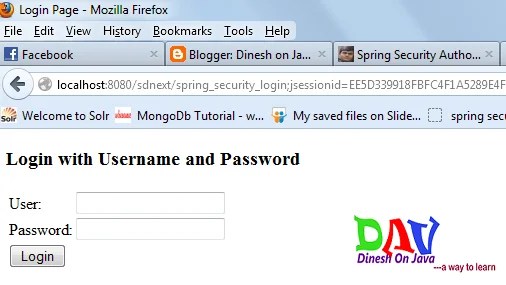 Spring Security Authorized Access