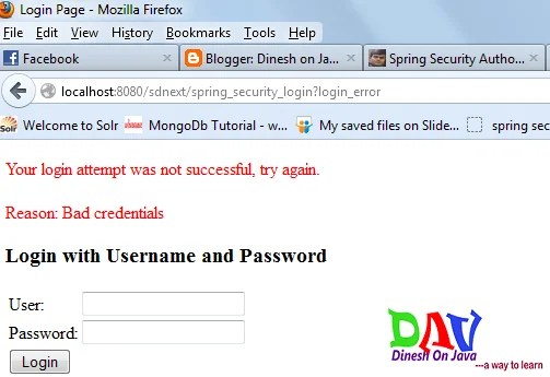 Spring Security Authorized Access