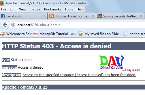 Spring Security Authorized Access