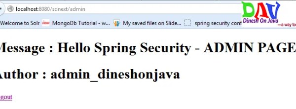 Spring Security Authorized Access