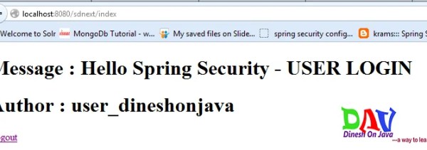 Spring Security Authorized Access