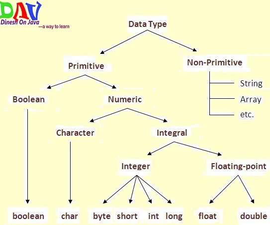 Variable and Datatype Java