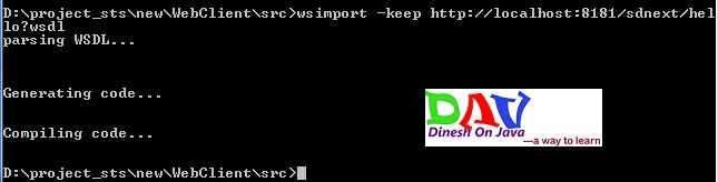 wsimport