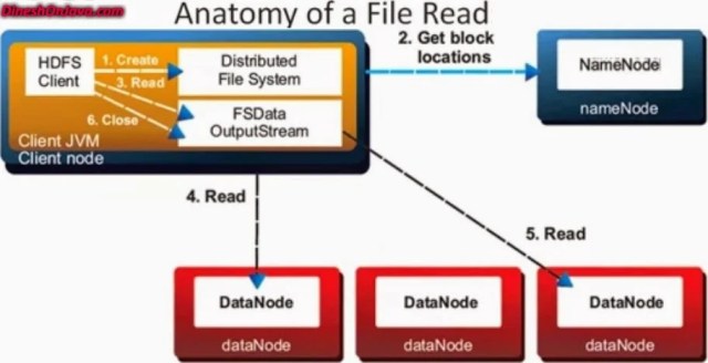 HDFS read Anatomy