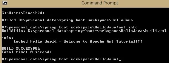 run ant build file