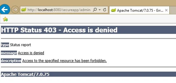 spring-security-demo-403-page