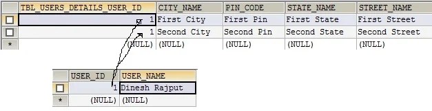 Saving Collections in Hibernate table output