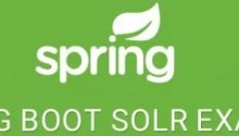 Spring Data Solr CRUD Application