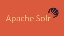 Spring Data Solr Dynamic Queries