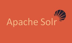 Spring Data Solr Sorting