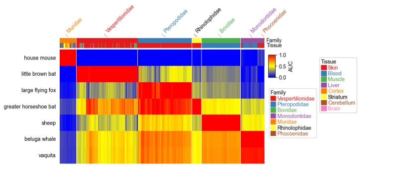 Some Cluster Labels Are Missing After Plotting The Diffusion Map - Premium Light Pattern Gallery - HD