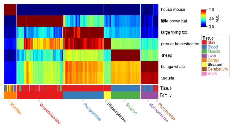 Some Cluster Labels Are Missing After Plotting The Diffusion Map - Geometric Pictures - Beautiful HD Collection