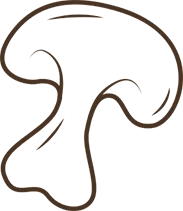 Vector-Smart-Object1