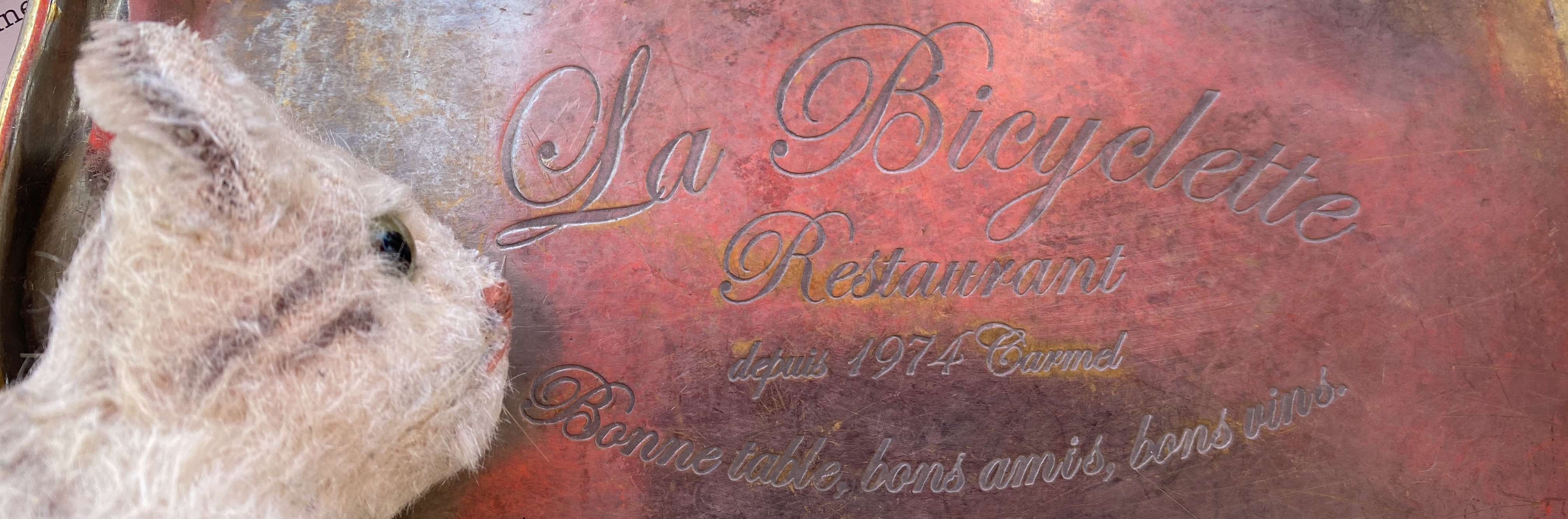 Exploring Unique Restaurants in Florida: Our Weekly Dining Adventures, image size:4032x1335