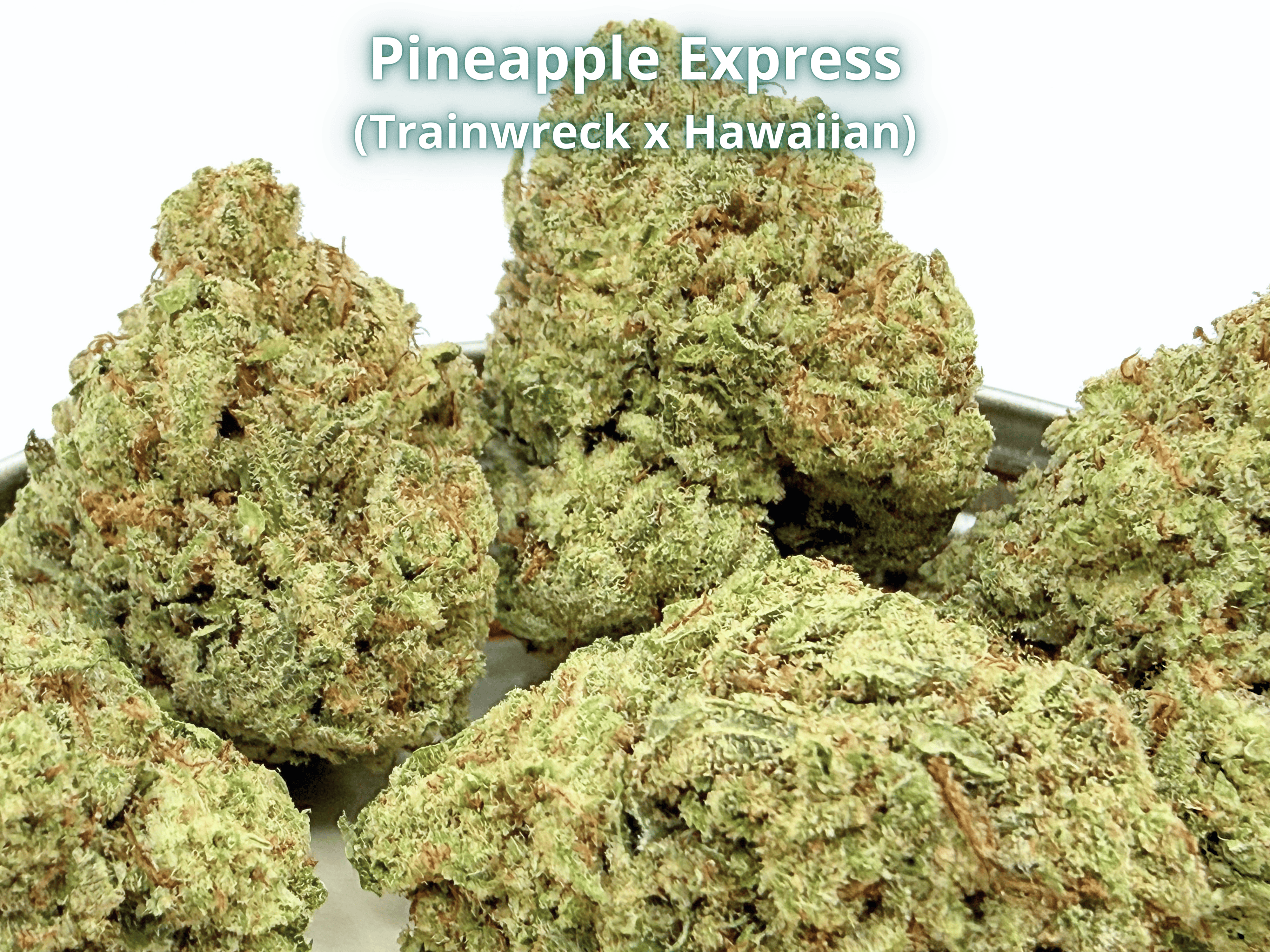 Pineapple Express THCA flower with frosty green buds and prominent trichomes.