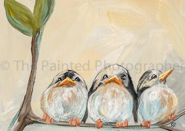 3 Baby Bird