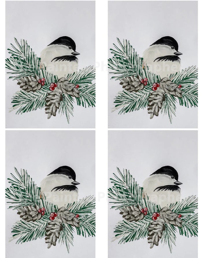 Winter Chickadee