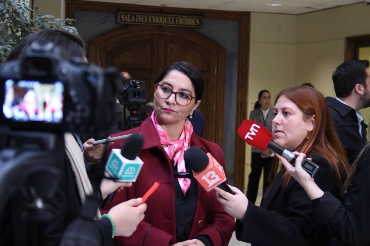Diputada Nathalie Castillo oficia al Ministerio de Seguridad por caso de ex seremi de Piñera que se hizo pasar por carabinero