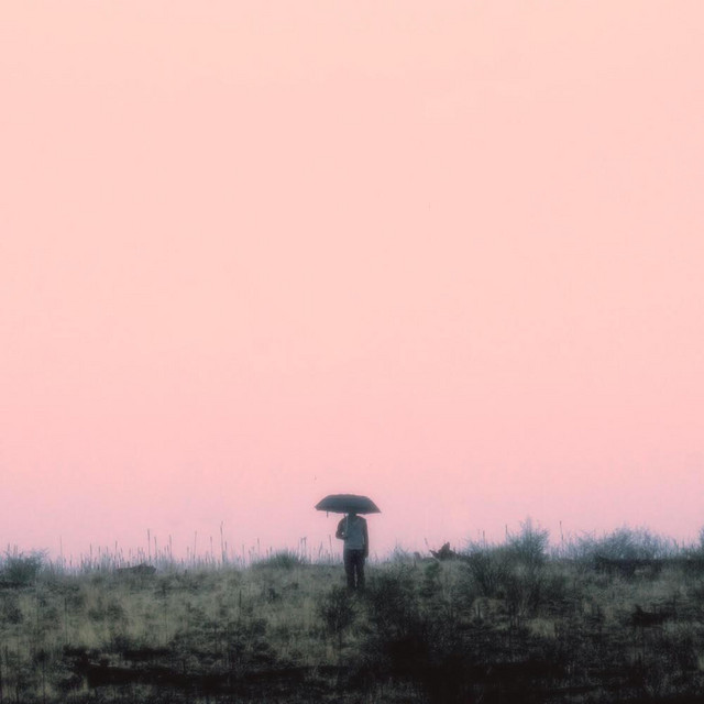 The Host Club – Counting