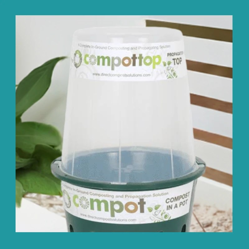 Propagator_Top_on_Compot
