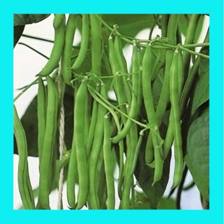 BEAN-BLUE LAKE-CLIMBING