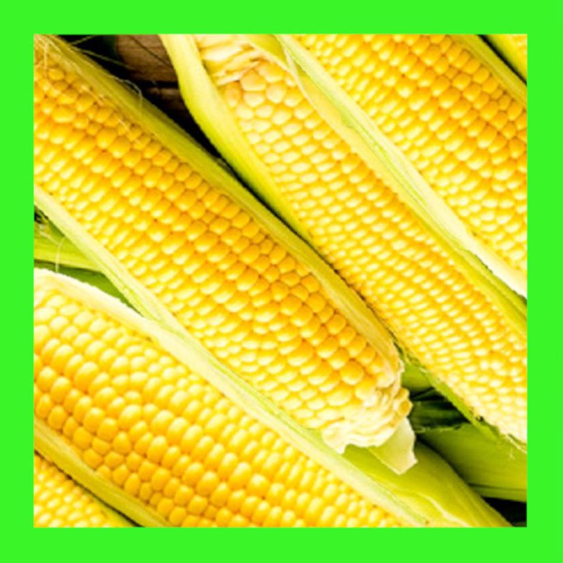CORN-JOLLY ROGER-SWEET