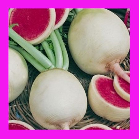 RADISH-WATERMELON-SHINRIMEI