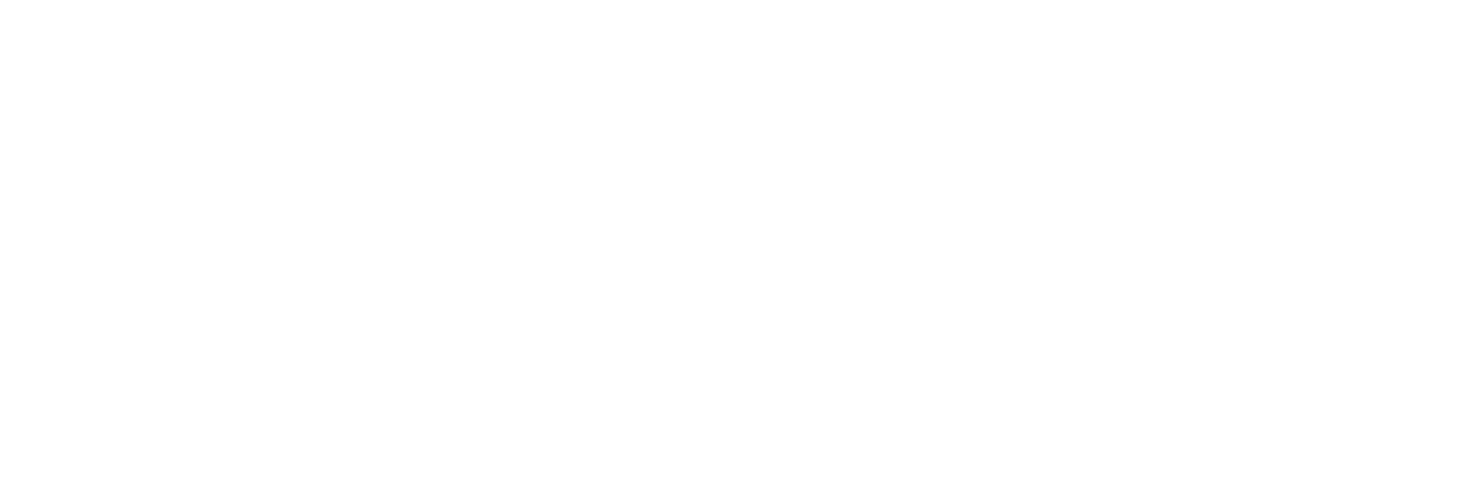 directed-analytics-logo-white