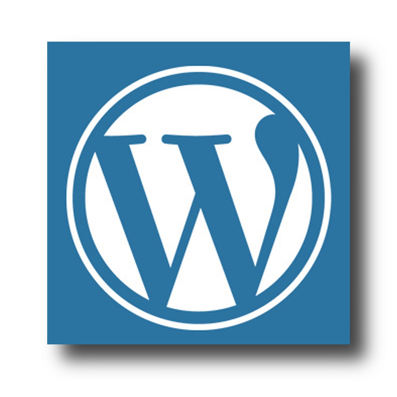 wordpress_website