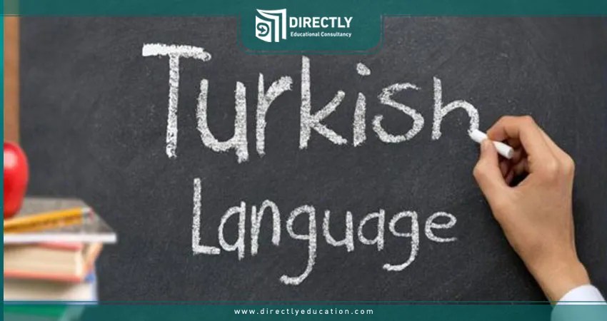 Mastering turkish: a complete guide to the turkish language