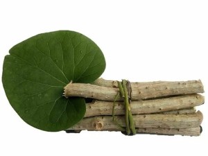Ayurvedic Herbs For Fever: Get relief from these Ayurvedic herbs