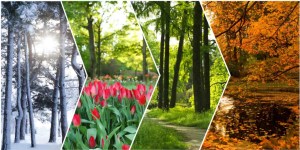 How to use time in your favour: Understand the Art of Strategic Timing with Dr. Debi Prasad Acharya
