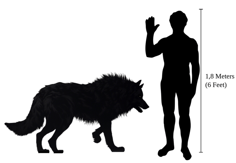 Difference between dire wolf and grey wolf at lidia adams blog