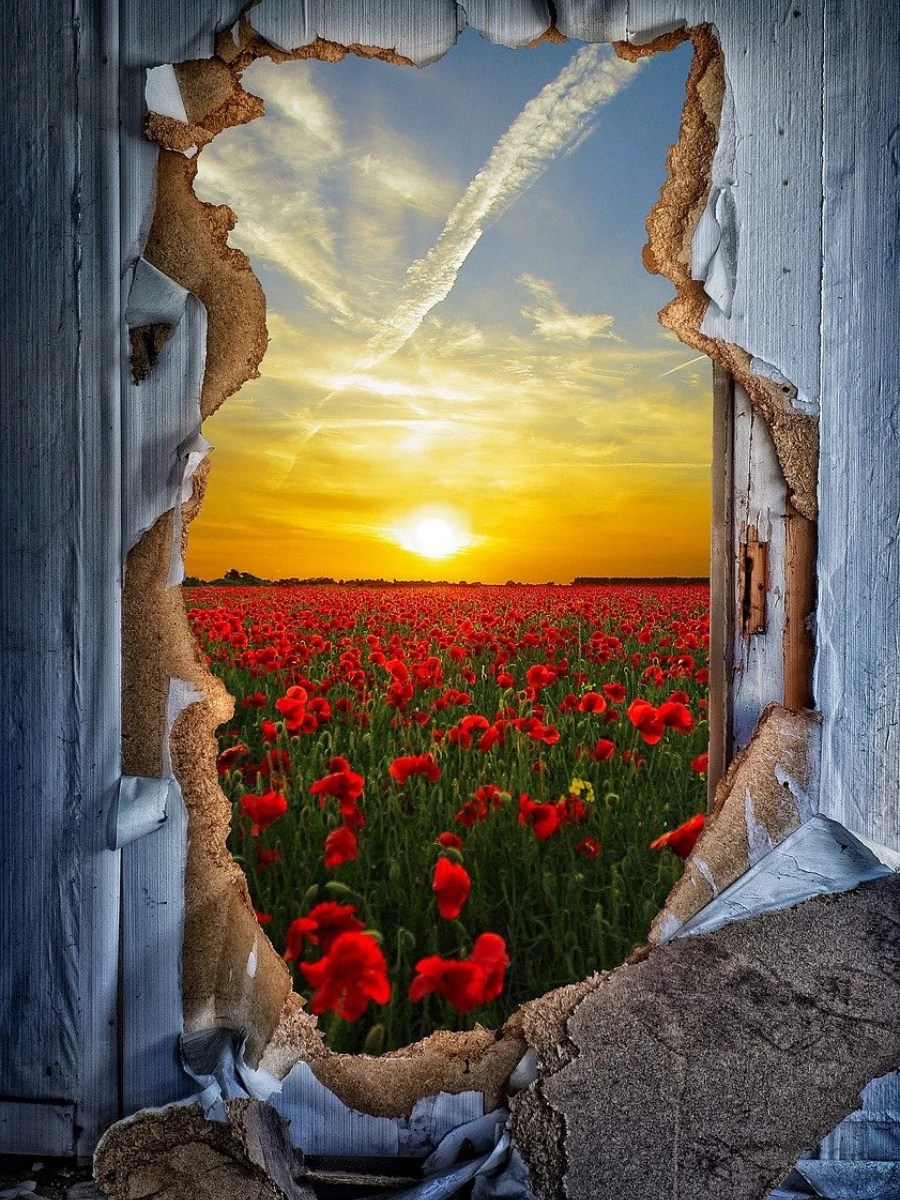 Break through the Barrier