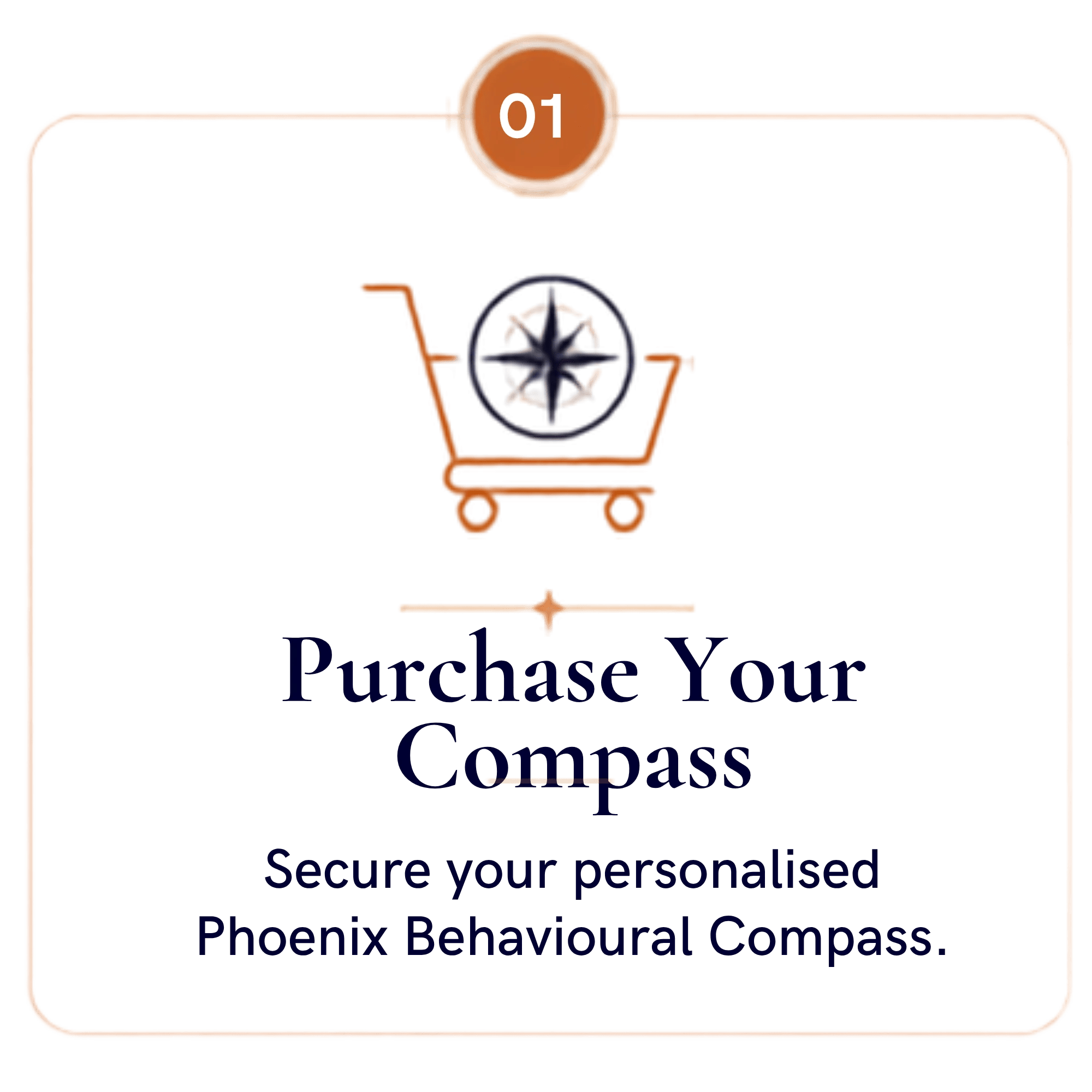 Phoenix Behavioural Profile Purchase