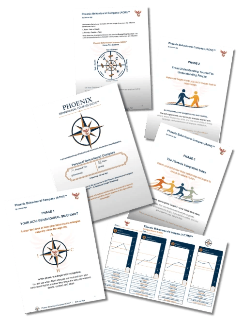 Phoenix Behavioural Compass personalised report preview