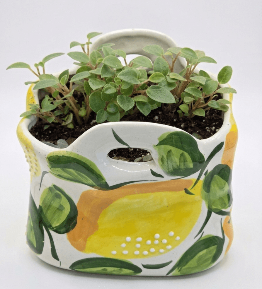 Ceramic Lemon Wall Pocket Planter with Trailing Peperomia