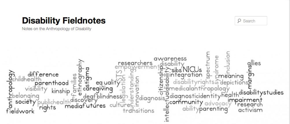 A screenshot from the Disability Fieldnotes website: http://disabilityfieldnotes.com There are various words arranged horizontally and vertically like a crossword puzzle.