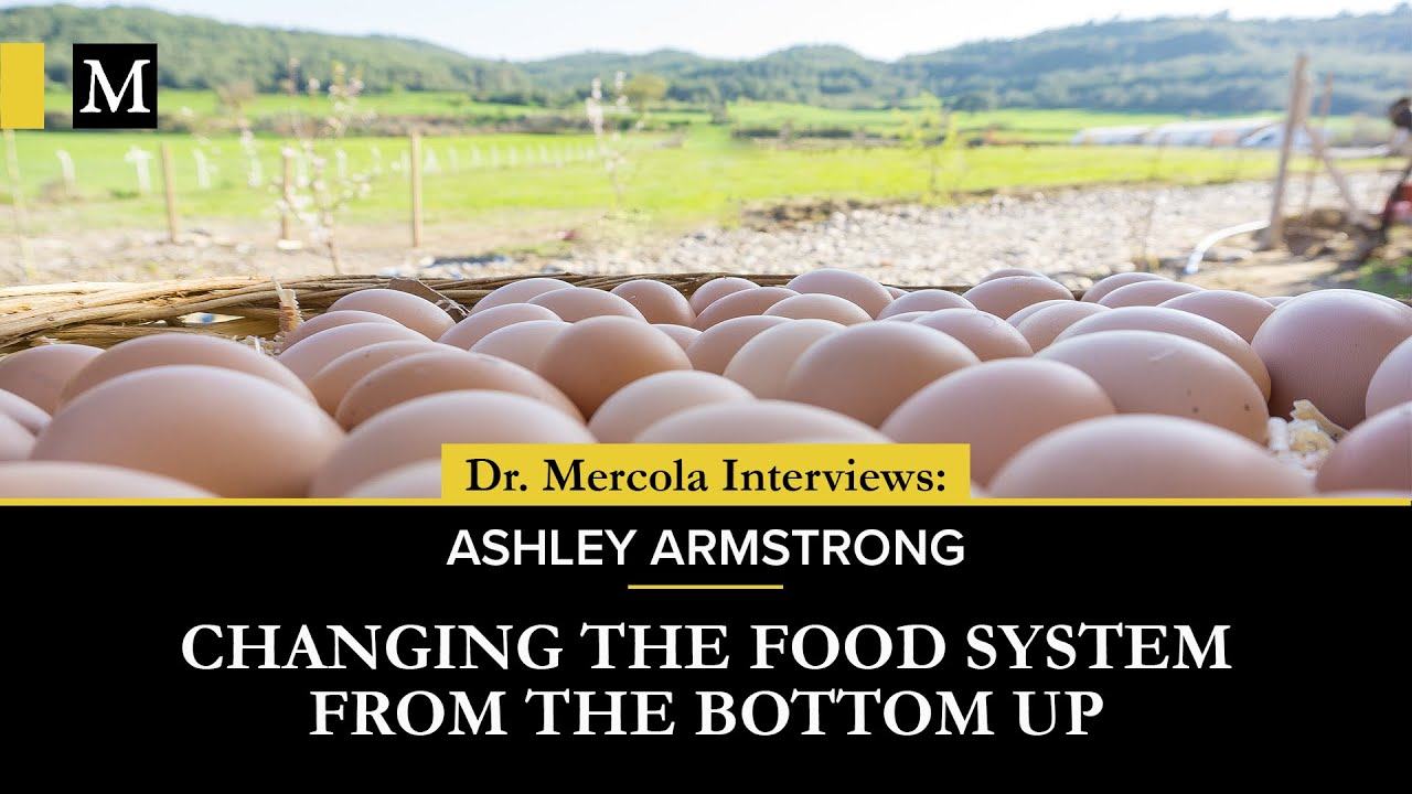 Food System