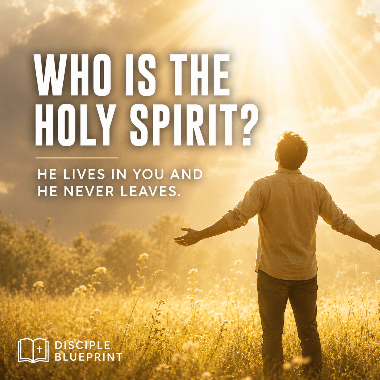 You are currently viewing Who Is the Holy Spirit?