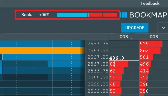 BookMap Trading Platform - Strength Level Indicator