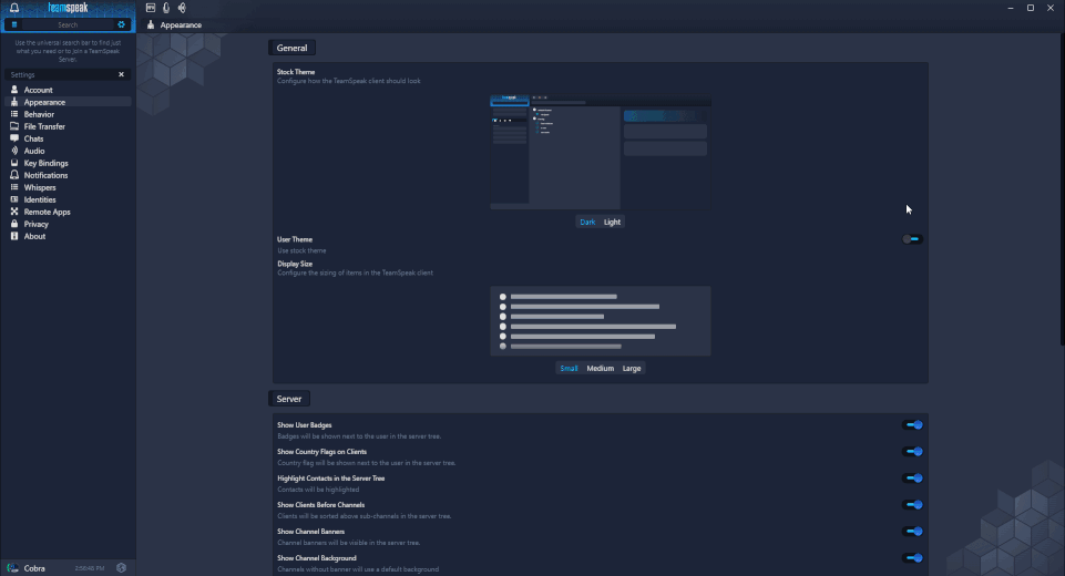 pix Teamspeak 5 Release teamspeak