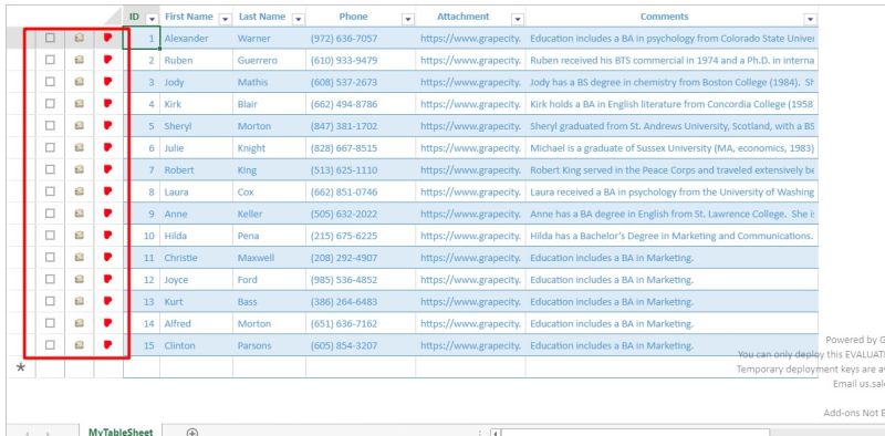 Available Formats For Irowactionoptions Icons Tablesheet Custom Action Spreadjs Spreadjs - Best Abstract Wallpapers in Ultra HD
